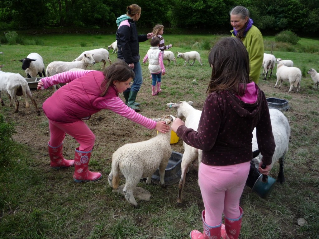children with sheep